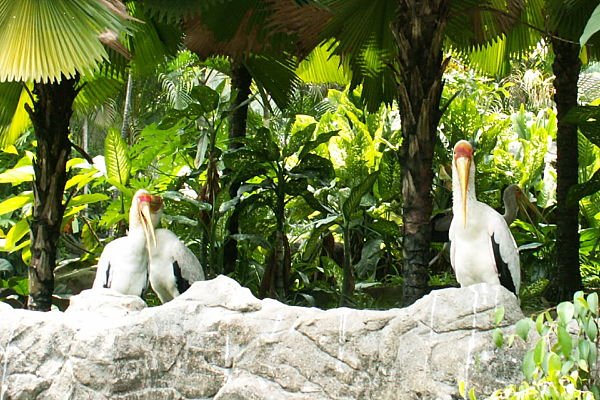 kuala lumpur vogelpark malaysia urlaub kuala lumpur vogelpark